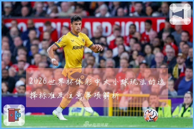2026世界杯体彩中大小球玩法的选择标准及注意事项解析