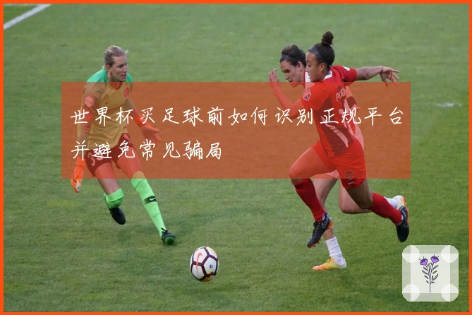 世界杯买足球前如何识别正规平台并避免常见骗局