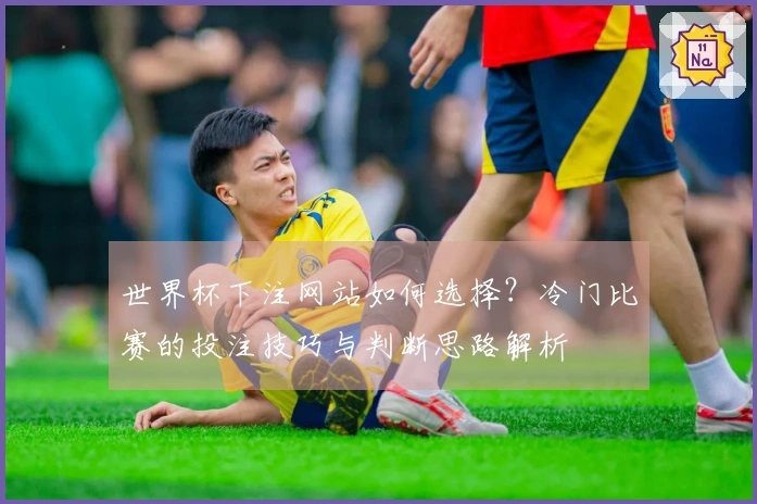 世界杯下注网站如何选择？冷门比赛的投注技巧与判断思路解析