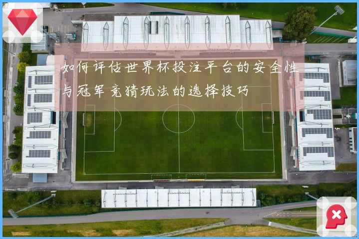 亚星官网体育资讯图片