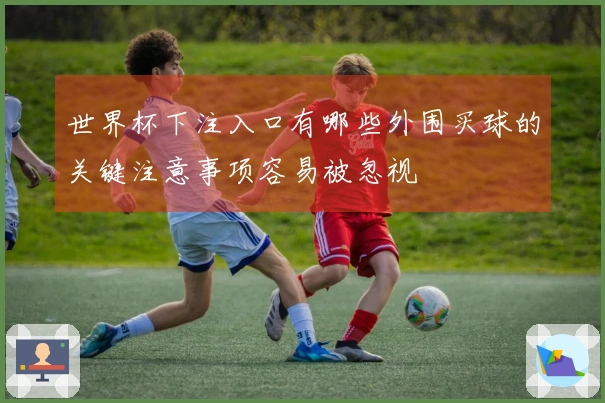 世界杯下注入口有哪些外围买球的关键注意事项容易被忽视