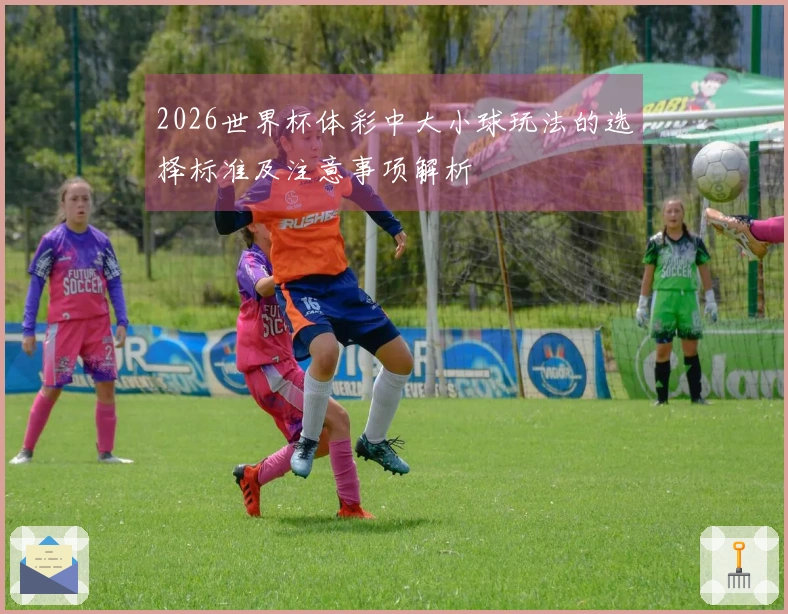2026世界杯体彩中大小球玩法的选择标准及注意事项解析
